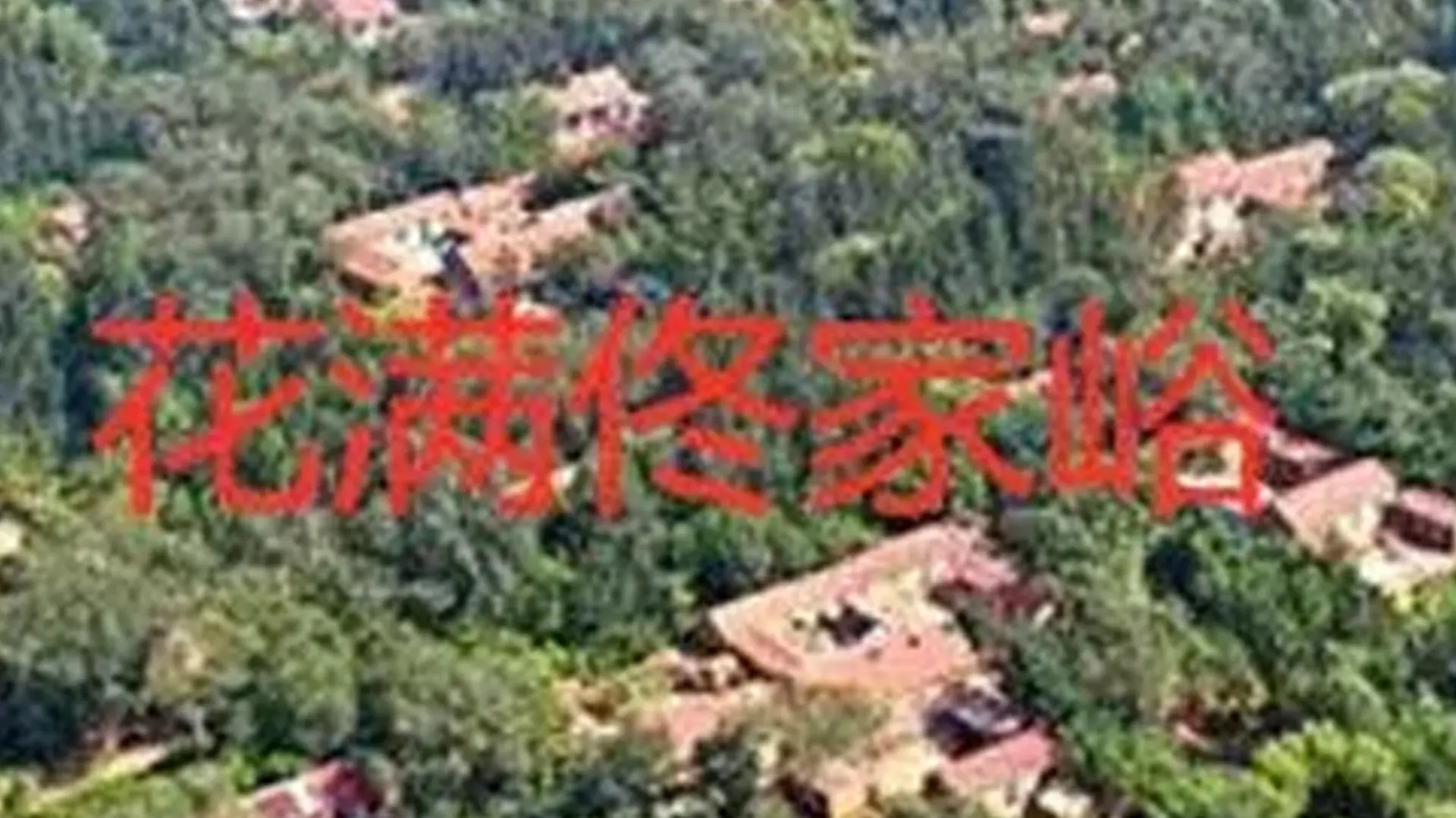 《花满佟家峪》：乡村振兴路上的诗与远方，感受新时代农村的蓬勃生机！