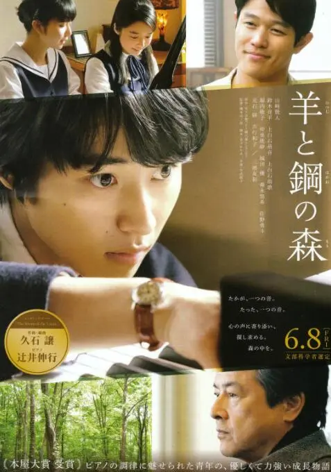 《羊与钢的森林》：聆听森林的回响，感受钢琴与心灵的共鸣