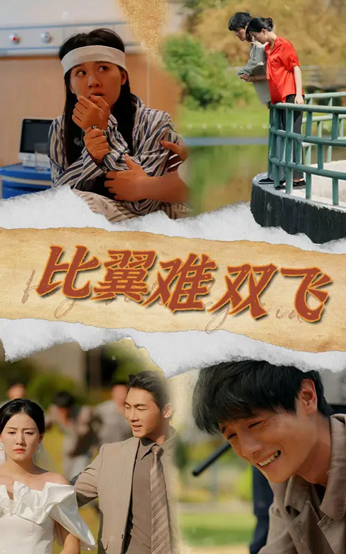 《比翼难双飞》：命运捉弄下的爱情悲歌，旧时代的无奈与挣扎！