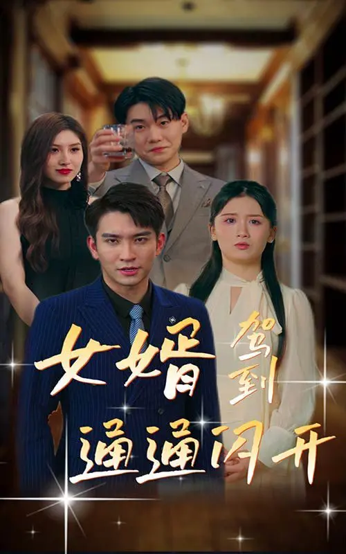 《女婿驾到通通闪开》：家庭喜剧碰撞韩国男团色彩，爆笑上演“女婿争夺战”