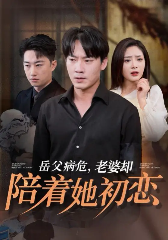 岳父病危老婆却陪着她初恋 海报